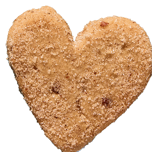 Valentina heart-shaped mexican cinnamon pecan shortbread cookie, close-up showing texture and crumb