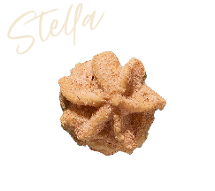 Stella star-shaped cinnamon sugar cookie