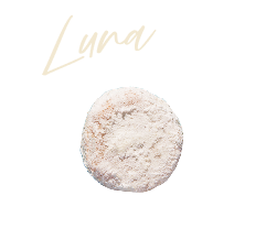 Luna traditional Mexican wedding cookie