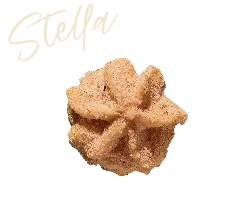 Stella star-shaped cinnamon sugar cookie