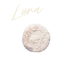 Luna traditional Mexican wedding cookie